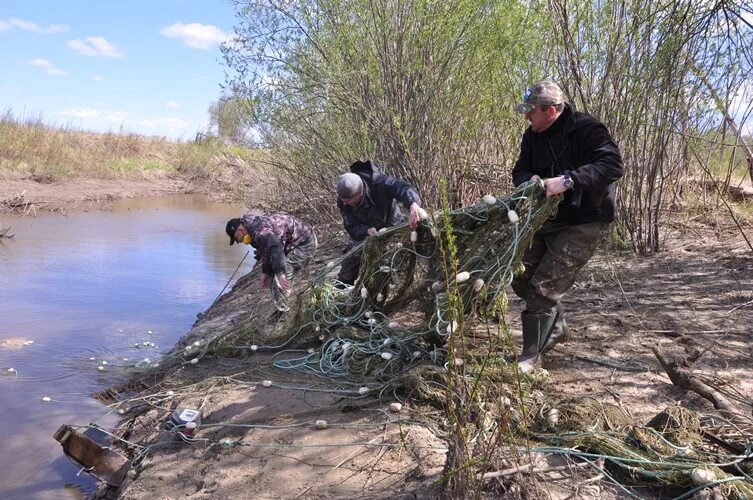 Река умальта хабаровский край. Река Умальта. Река Ниман Хабаровский край. Усть-Умальта. Поселок Умальта Хабаровского края.