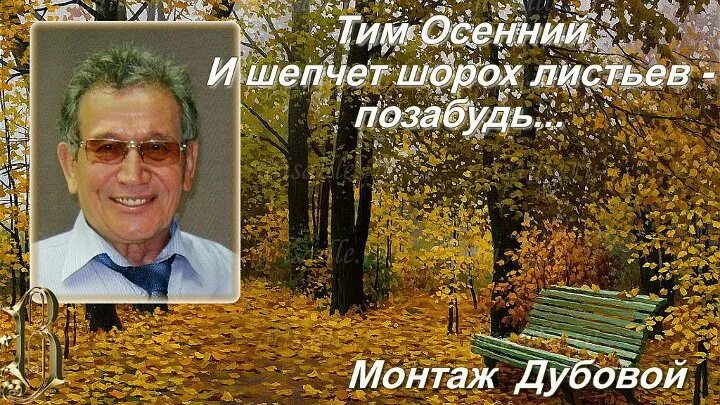 Шорох листьев управление. Тим осенний. тим осенний биография. песня под шорохтлистьев.