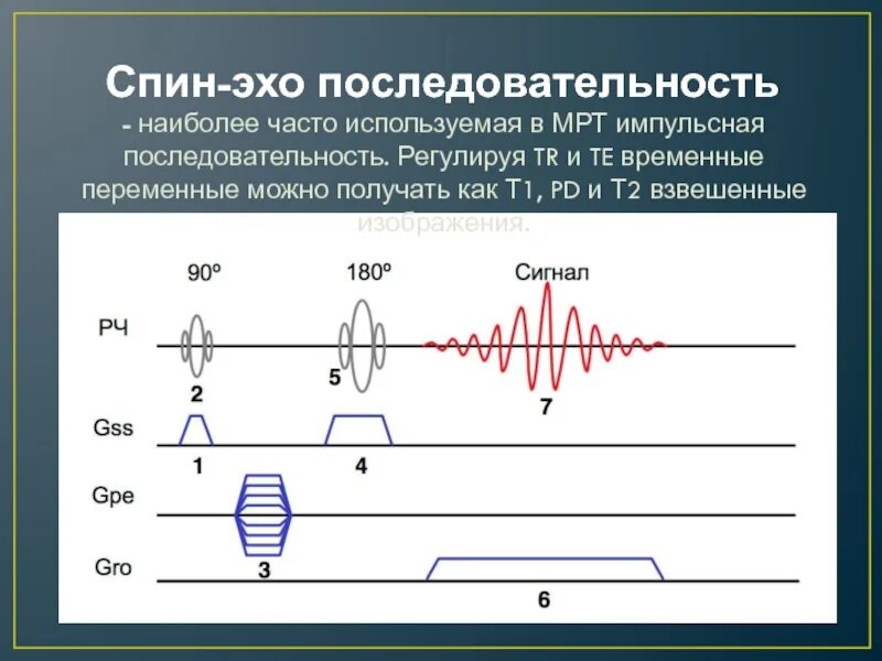 Как получить эхо. Спин эхо последовательность. импульсная последовательность. импульсные последовательности в мрт. спин эхо мрт.