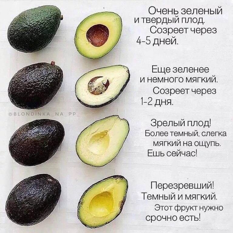Можно давать манго