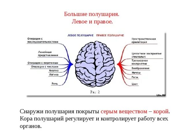 Какое полушарие холоднее. Какое полушарие холоднее