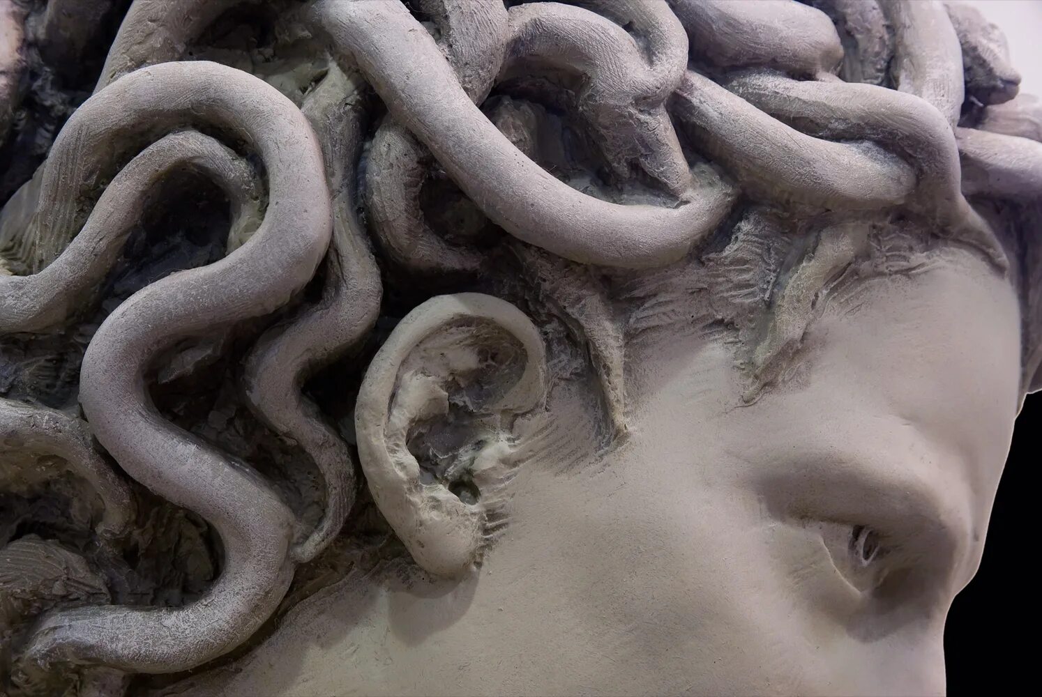 статуя горгоны. медуза горгона бернини. античная статуя медузы горгоны. медуза горгона скульптура. медуза горгона голова гипсовая.