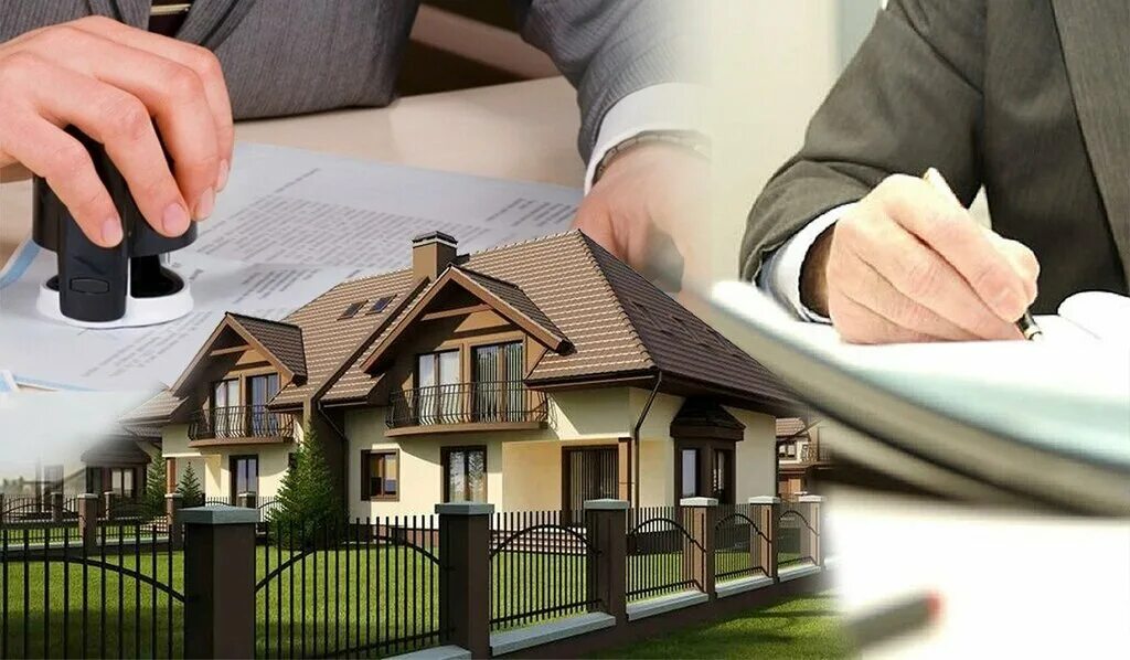 Постановление о предварительном согласовании. Предоставление земельных участков в санкт петербурге. Заключение договора аренды земельного участка без проведения торгов. Постановление о выделении земельного участка. Образец заявления на согласование схемы земельного участка.