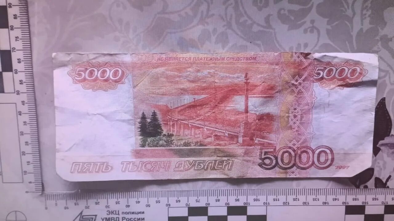 5000 рублей 2024 года