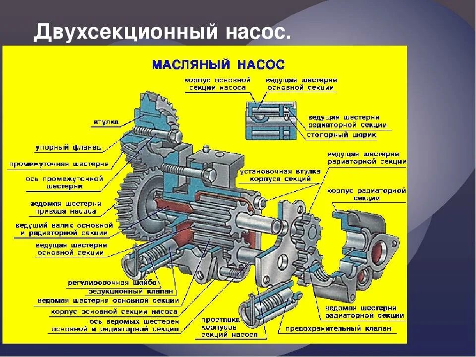 Работа масляного. Масляный насос системы смазки двигателя. Насос шестеренчатый двухсекционный масляный. Устройство масляного насоса системы смазки двигателя. Двухсекционный масляный насос автомобиля КАМАЗ.