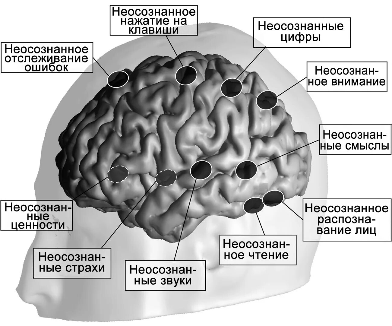 Сознательная часть мозга. Мозг подсознание. Сознание структуры мозга. Мозг сознание и подсознание. 1 сознание и мозг