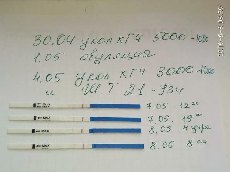 ХГЧ на 8 день после овуляции. ХГЧ уколы. Хвост от укола ХГЧ. 5 День после укола ХГЧ.