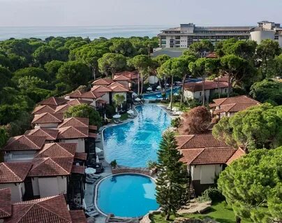 Papillon ayscha туры