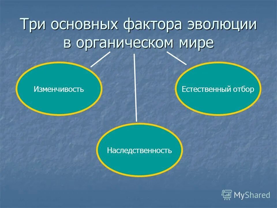 Три главных фактора. Основные факторы эволюции. Три главных фактора эволюции.