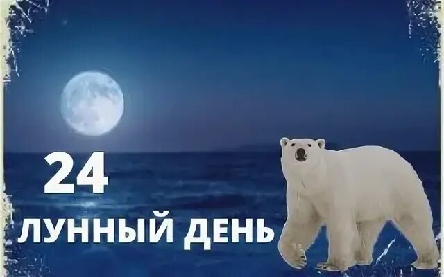 24 лунный день