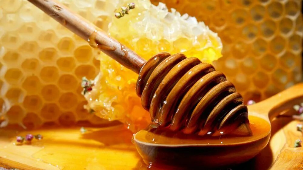 Big honey. Мед. Соты меда. Мёд натуральный. Соты меда красивые.