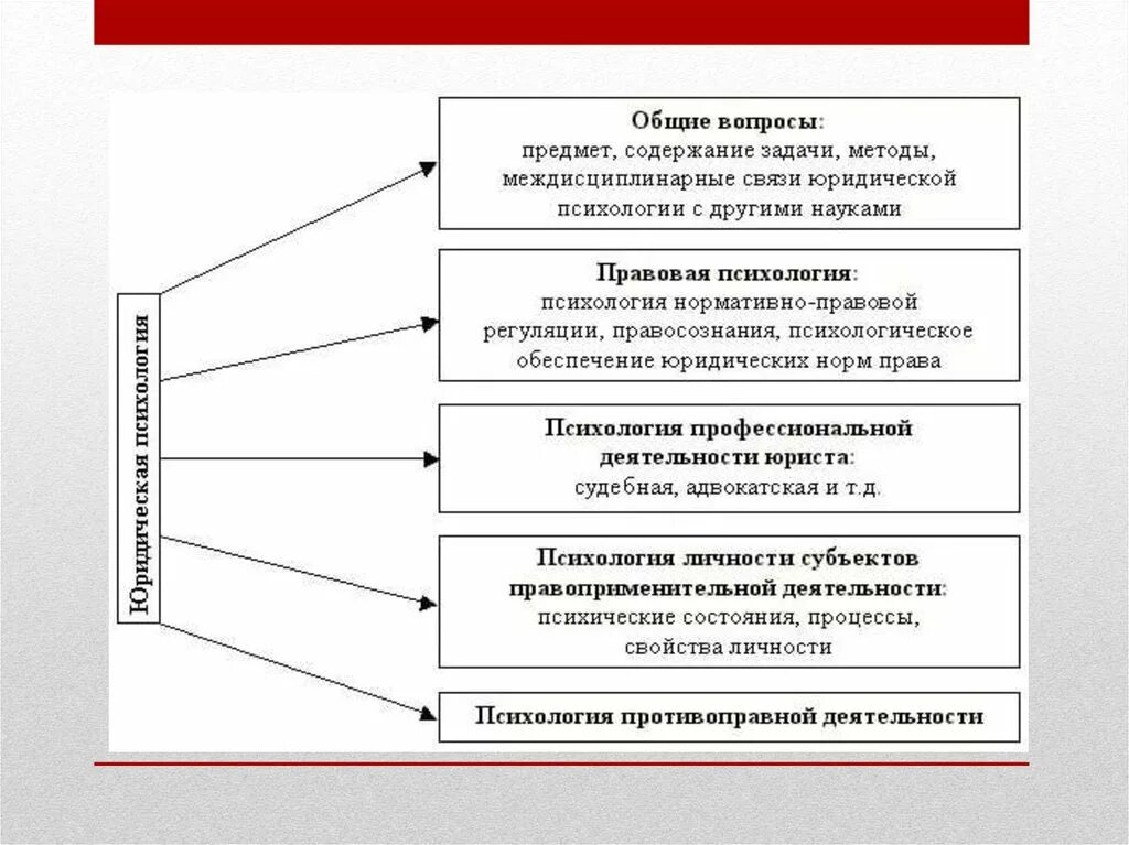 Содержание юридических знаний