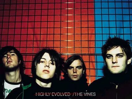 The vines