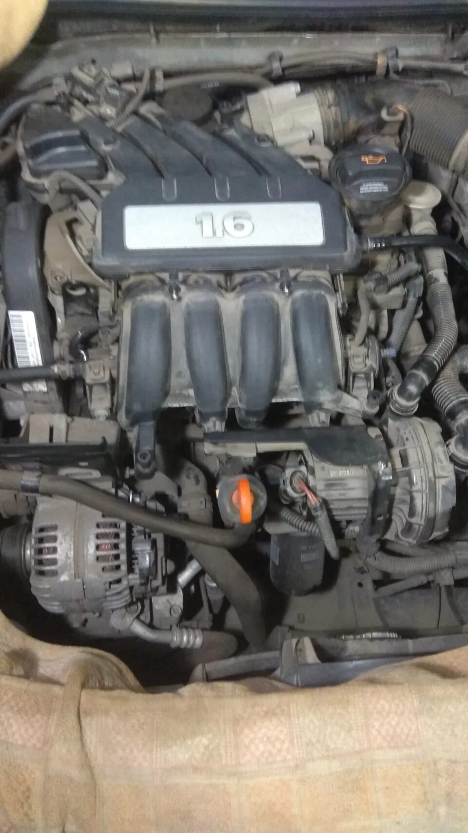 1.6 bse жидкости. Skoda 1.6 bse. джетта 5 1.6 bse. bse мотор 1.6.