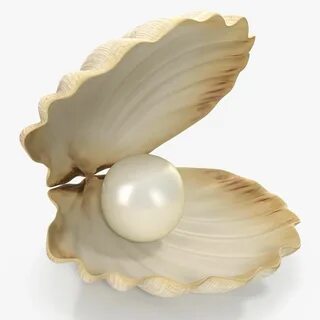 Pearl модель