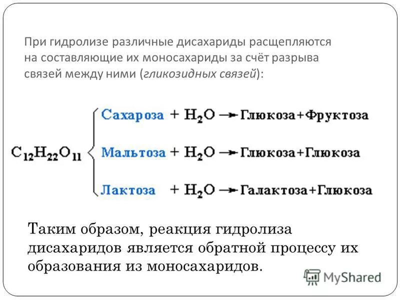 реакции гидролиза дисахаридов