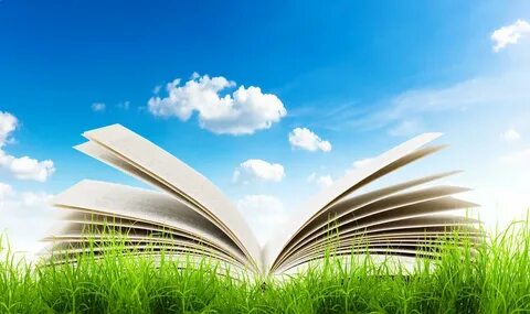 Книга открытый мир