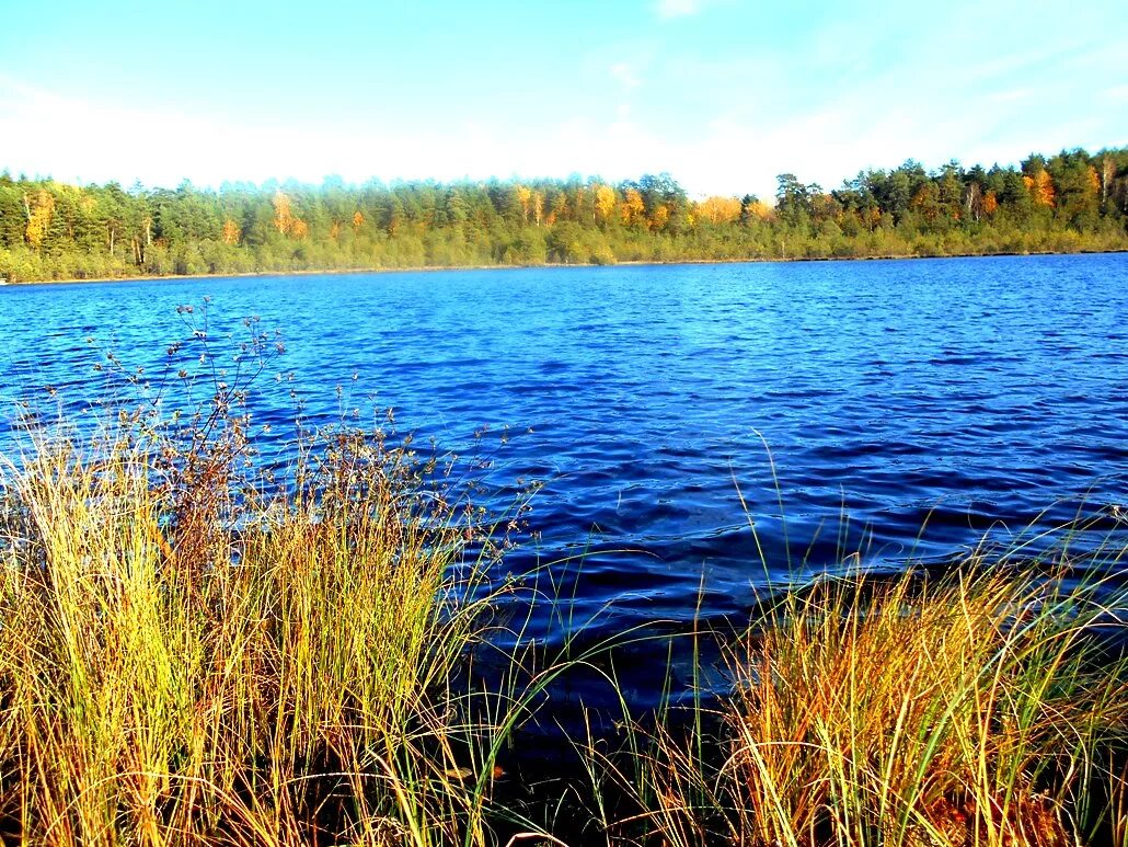 Lake 18. Lake 18. Лейк тахо калифорния сша. Lake 18. Симметричный пейзаж.