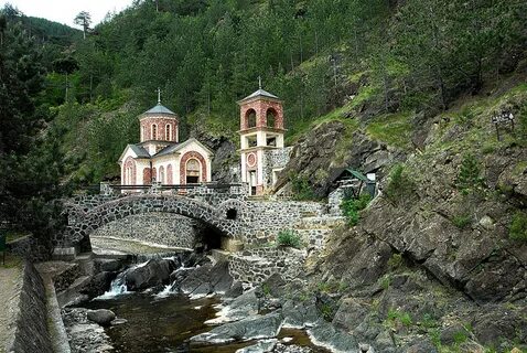 Мокрое горе