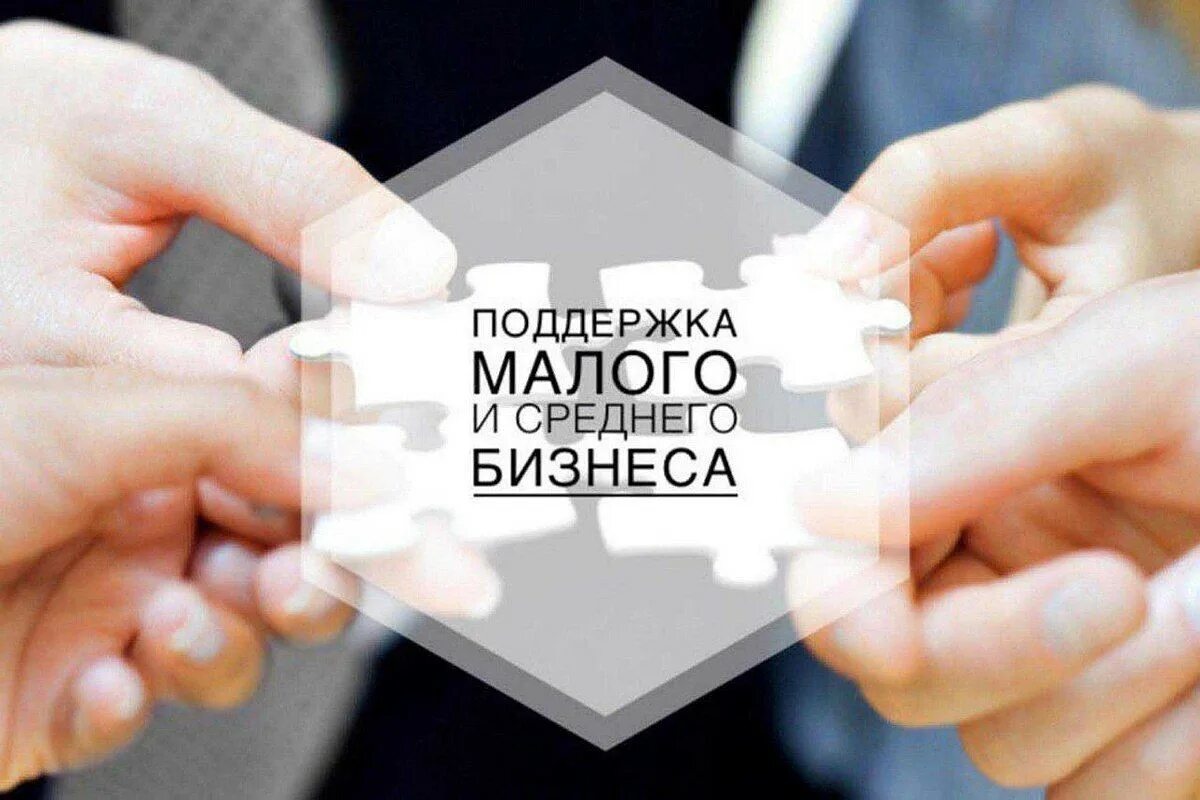 Меры поддержки субъектов мсп