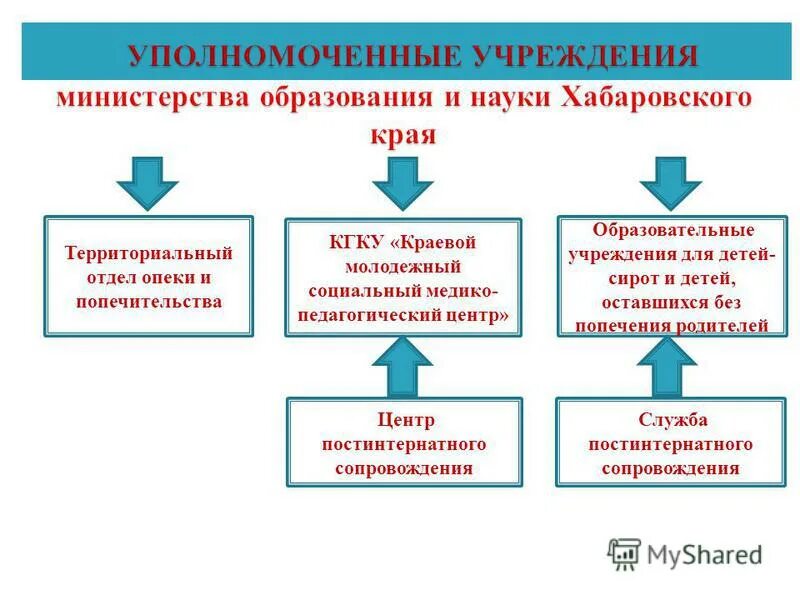 Территориальный отдел опеки и попечительства. Территориальный отдел опеки и попечительства. Схема опека попечительство патронаж. Структура сектора опеки и попечительства. Органы опеки и попечительства схема.