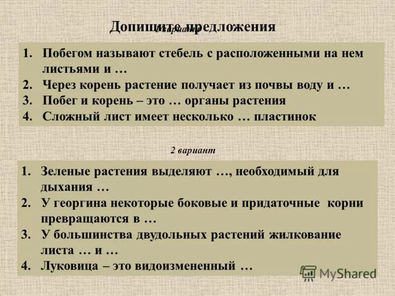 Тест ботаника 6 класс. Что называют побегом.