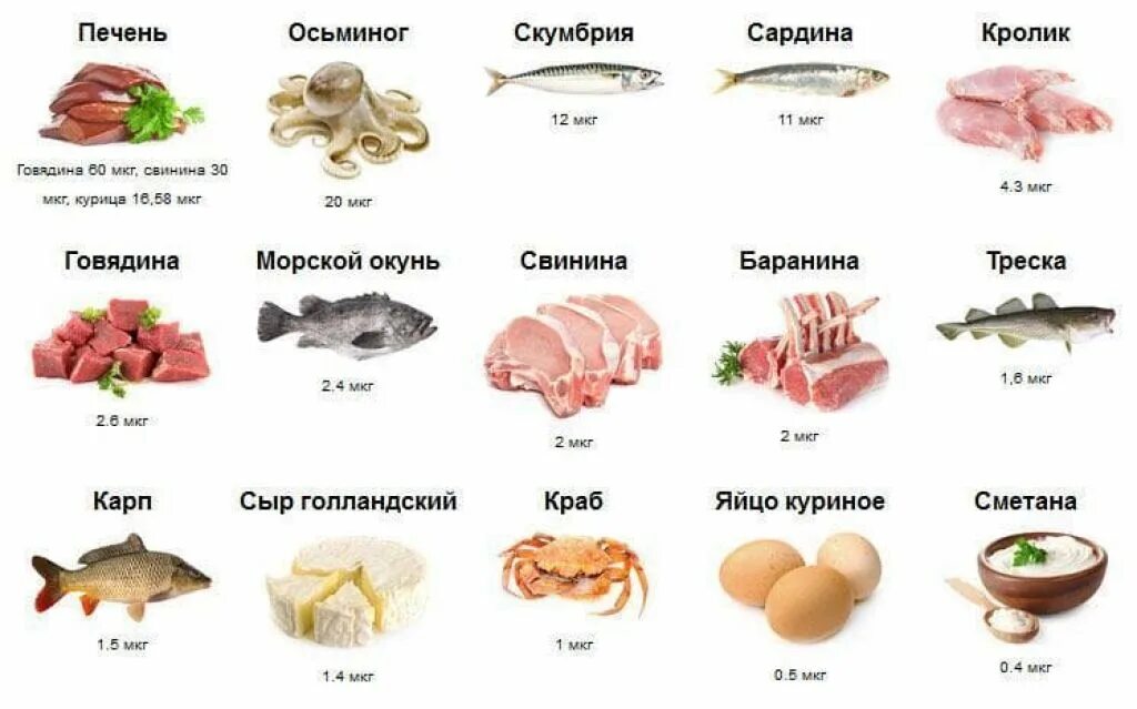 Где находится витамин в12