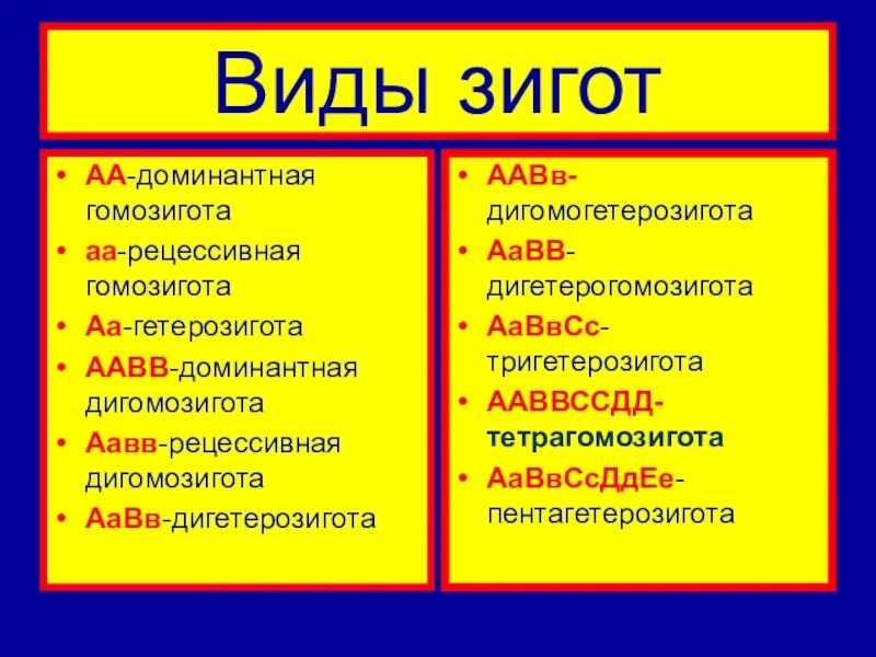 Какой генотип дигетерозиготный. Дигетерозигота. Рецессиыные ди гомо зиготы. Рецессивная дигомозигота. Доминантнач дигомозигтиа.