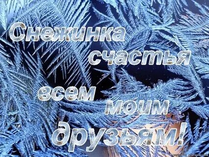 Желаю здравствовать