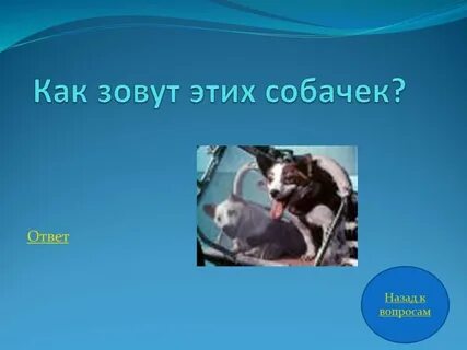 Песик вопросик