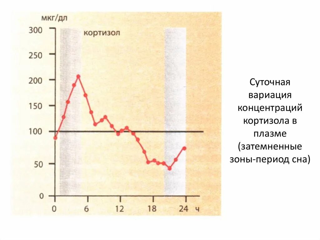 Суточные колебания кортизола. График выработки кортизола. Суточные колебания уровня кортизола. Ритм секреции кортизола. Кортизол в слюне 4