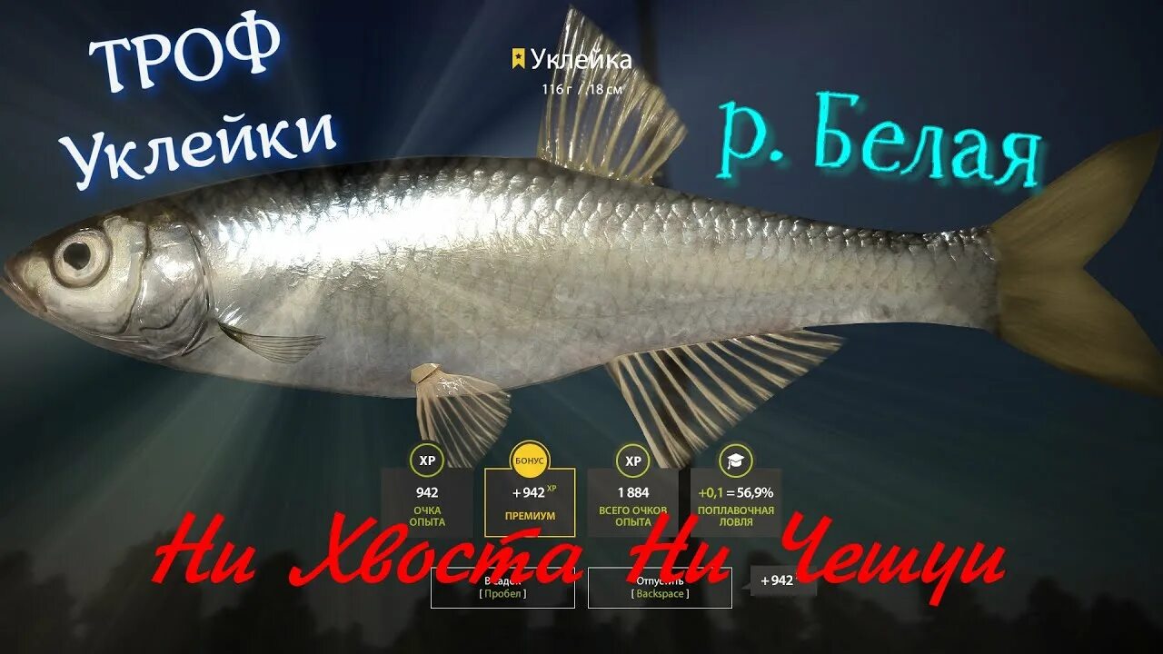 Трофейная уклейка рр4. Троф уклейка рр4. Трофейная густера. Трофейная уклейка рр4. Рр4 трофы.