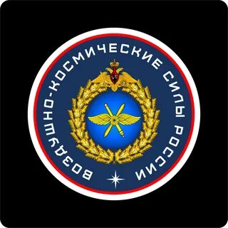 Воздушно космические силы эмблема