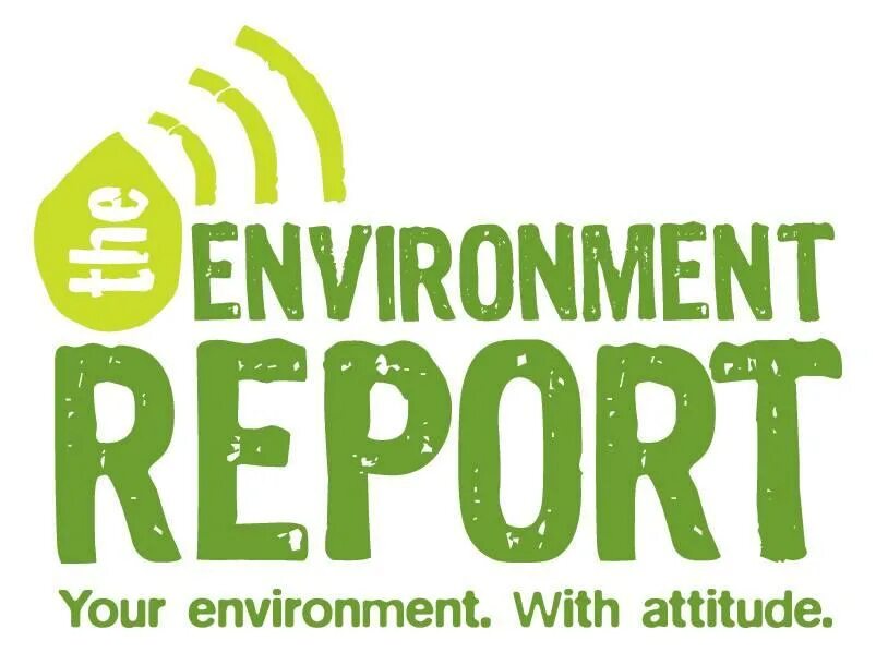 Environmental reporting. Environmental reporting. Экологический аутсорсинг. Зеленая экономика вектор. 6 commission priorities for 2019-24.