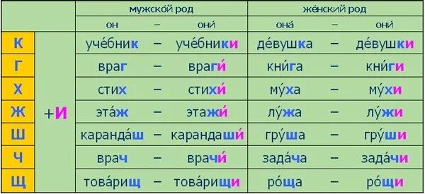 Слово женского рода множественного числа. Правило образования множественного числа в русском языке. Множественное число в русском языке правило. Мн число существительных в русском. Множественное число существительных в русском языке.