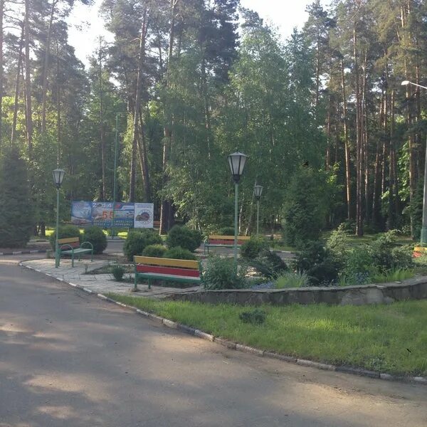 Лагерь дубки кратово. Дубки кратово. Детский лагерь дубки кратово. Дубки кратово. Лагерь дубки московская область.