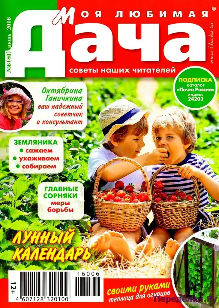 Журнал дача. Моя любимая дача журнал. Обложка журнала дача. Дача июнь журнал.