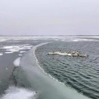 Соленое 2022