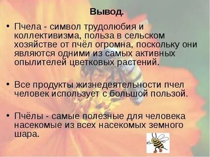 Польза пчел