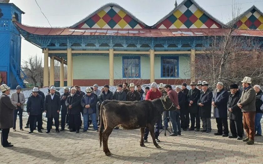 Детский дом талас. Бишкек казыяты. Талас турмушу. Талас турмушу. Талас турмушу.