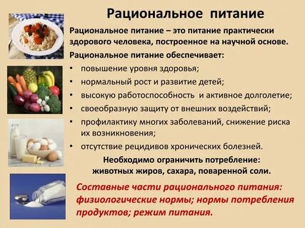 Какие функции выполняет питание в жизни человека