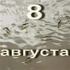 Да 8