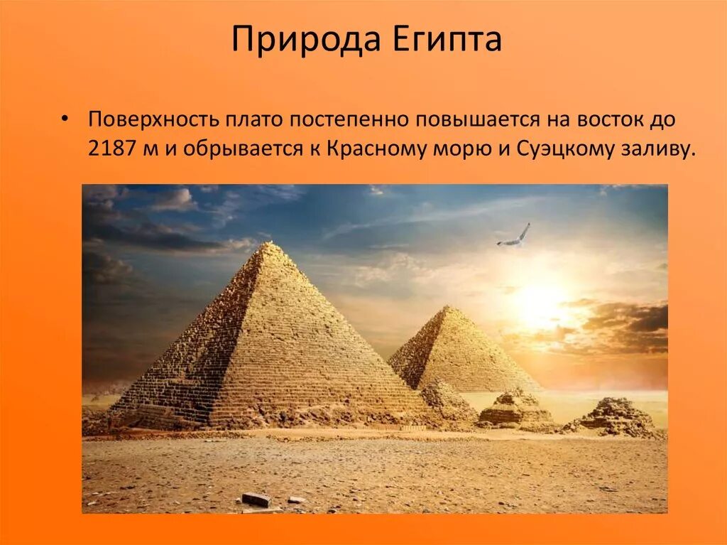Определение древнего египта. Природа египта презентация. природа египта 5 класс. древний египет презентация. египет природа и климат.