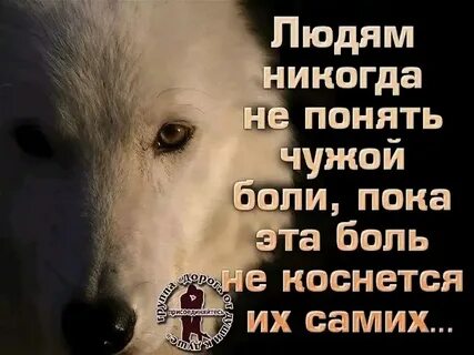 Меня то это не касается