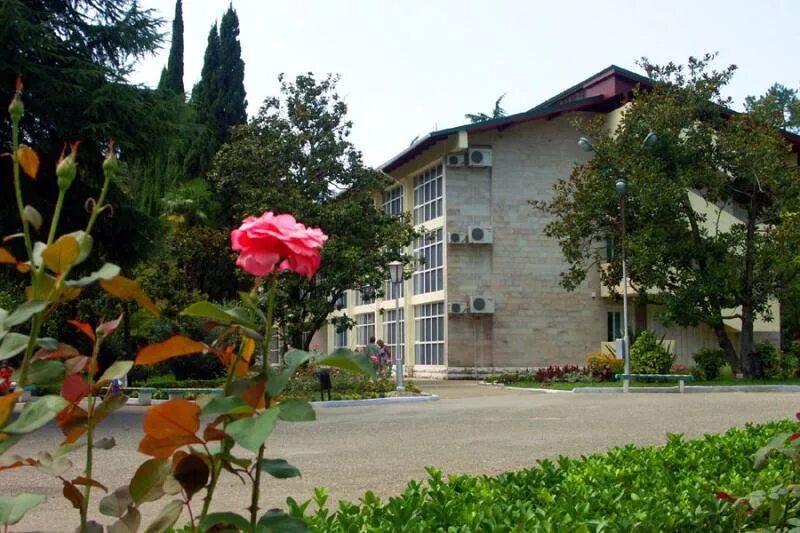 оздоровительный комплекс спутник анапа. сок спутник анапа. пансионат спутник анапа. оздоровительный комплекс спутник. санаторий спутник анапа.