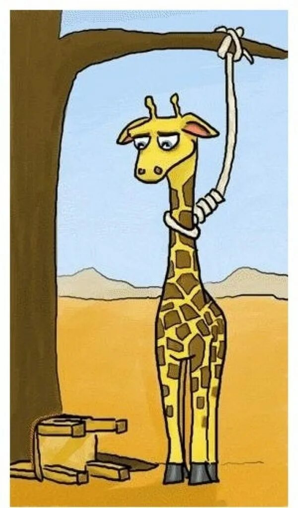 Жираф прикол. Новосибирский зоопарк жираф. Жираф с открытым ртом. Жираф передом. Жираф подвиды.