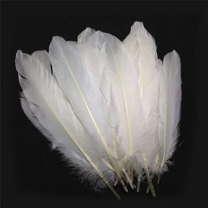 Перья птиц. Перо лебедя. Красивое перо. Перо лебедя. Перо лебедя.