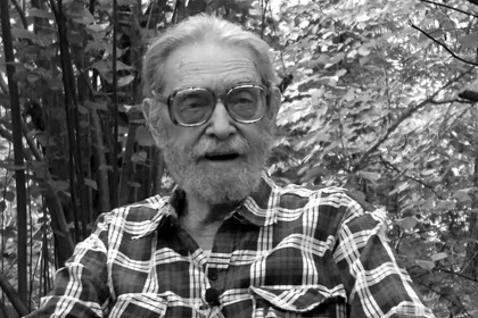 Писатель бушин. Бушин биография. Бушин писатель фронтовик. Бушин биография. Писатель бушин.