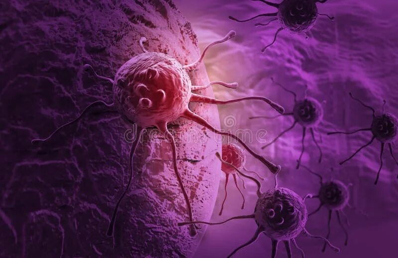 Tumor cells