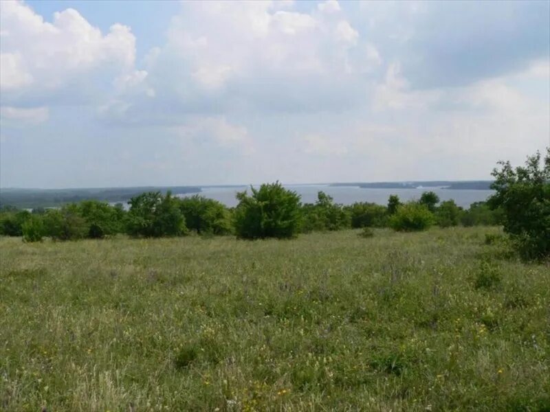 Ставропольские с выселки. Выселки Ставропольский район. Село Выселки Ставропольский район Самарская область. Сельское поселение Выселки, Ставропольский район, Самарская область. Самарская область, р-н Ставропольский, с. Выселки.